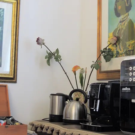 Nike - Only 4* سيراكوزا