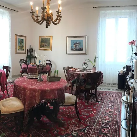 Pensión Nike - Only Syracuse