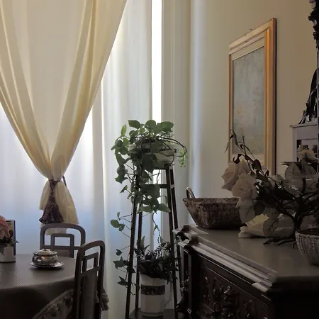 Nike - Only 4* Syracuse