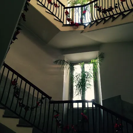 Pensión Nike - Only Syracuse